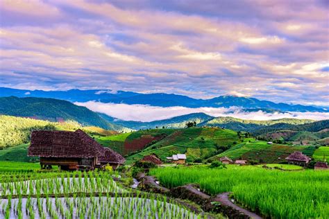 Rice terrace fields at Pa Bong Piang village Chiang mai, thailand. 3088069 Stock Photo at Vecteezy