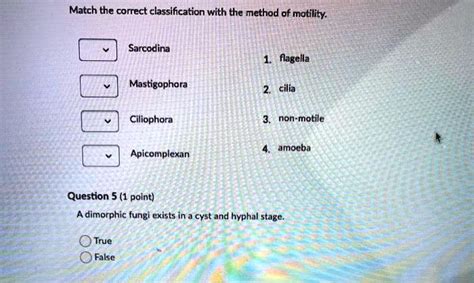 SOLVED: Match the correct classification with the method of motility: Sarcodina - amoeba (non ...