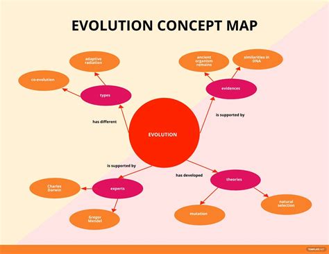 Concept Map - What Is a Concept Map? Definition, Types, Uses