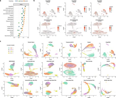 Benchmarking results using scATAC-seq data for 5k peripheral blood ...