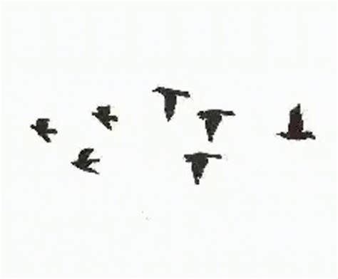 Flying Birds Animated Gif Images : Angry Gif Birds Bird Animation ...