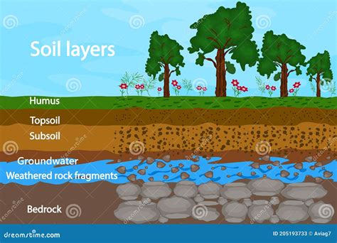 Soil Layers. Diagram For Layer Of Soil. Soil Layer Scheme. Cartoon ...