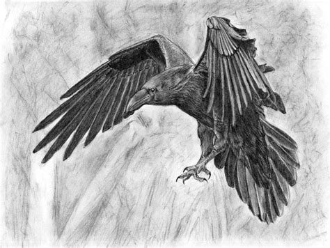 Raven by Azany on DeviantArt