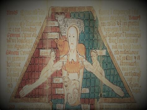 The Zodiac Man in Medieval Astrology and Medicine - Brewminate: A Bold Blend of News and Ideas