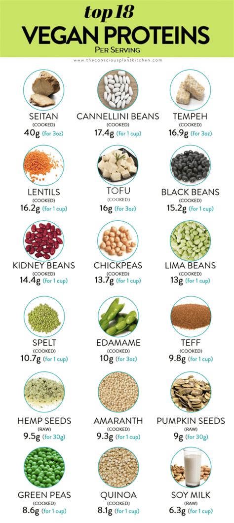 Best Vegan Protein Sources - The Conscious Plant Kitchen