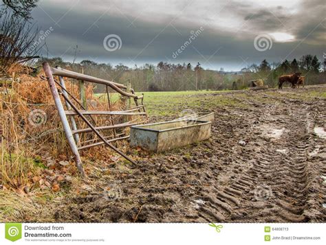 Image result for muddy farm field | Farm field, Outdoor, Farmland