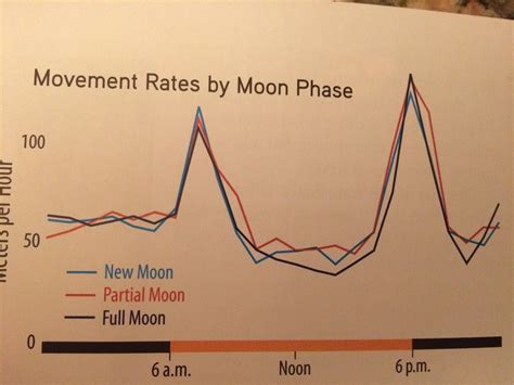 Moon phases and deer movement - Pensacola Fishing Forum