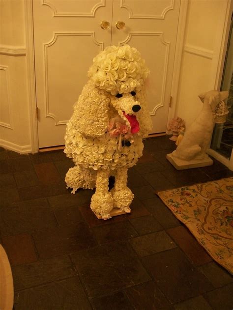 Floral Sculpture of French Poodle Dog. Available for Special Events, Displays and Parties ...