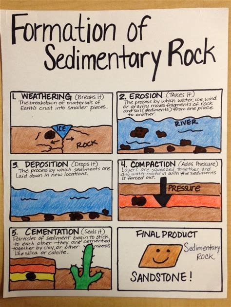 Formation of Sedimentary Rock … | Earth science lessons, Science lessons, Elementary science