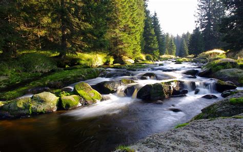 HD Mountain Stream Wallpaper - WallpaperSafari