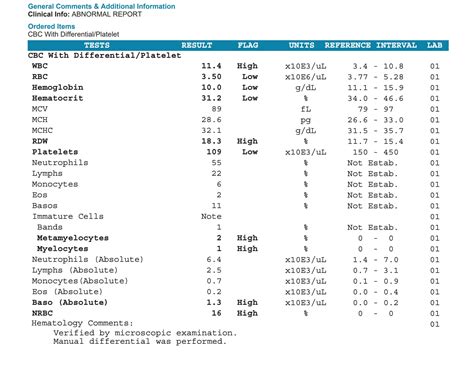 CBC - Complete Blood Count (with Differential) – Bloodwork.US