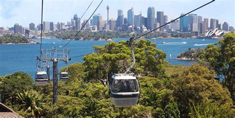 Taronga Zoo Sydney to reopen Sky Safari observing COVIDSafety - Australasian Leisure Management