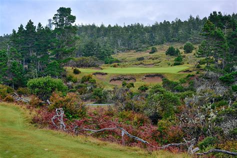 Bandon Trails - Bandon, Oregon