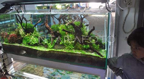 AQUASCAPE BOGOR | ANTARA Foto