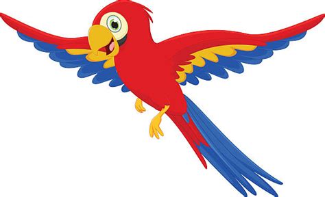 Royalty Free Parrot Stand Clip Art, Vector Images & Illustrations - iStock