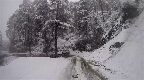 Snowfall in Kufri / Shimla - YouTube