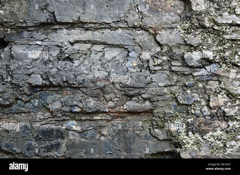 Close-up of black fossil coal surface Stock Photo - Alamy