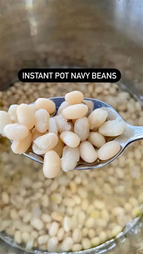 Instant Pot Navy Beans {No Soaking} | Recipe {Dietetic Directions}