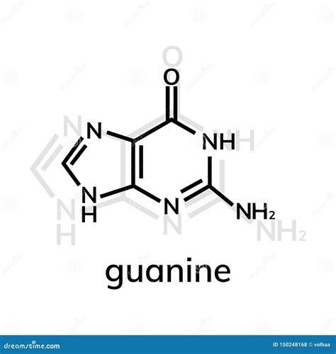 Guanine chemical formula stock vector. Illustration of atoms - 150248168