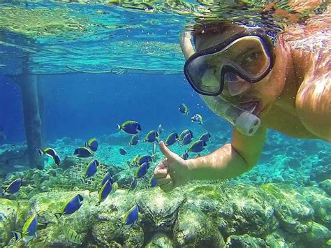 10 Best Snorkeling Spots in Puerto Rico