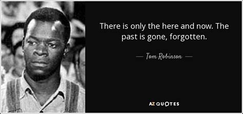 Tom Robinson quote: There is only the here and now. The past is...