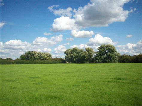 Free photo: Green field - 3d, Field, Grass - Free Download - Jooinn