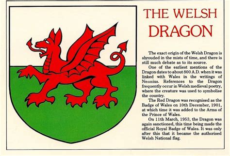 The flag of Wales | Welsh dragon, Wales dragon, Wales flag