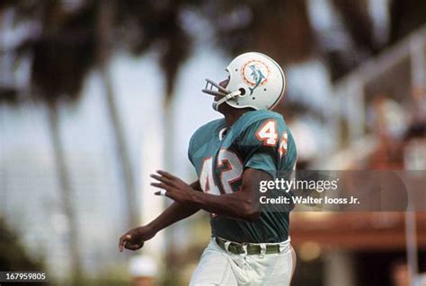 78 Paul Warfield Miami Stock Photos, High-Res Pictures, and Images - Getty Images