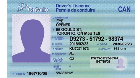 The Fake Out: Are the risks and costs of fake IDs worth it? – The Eyeopener