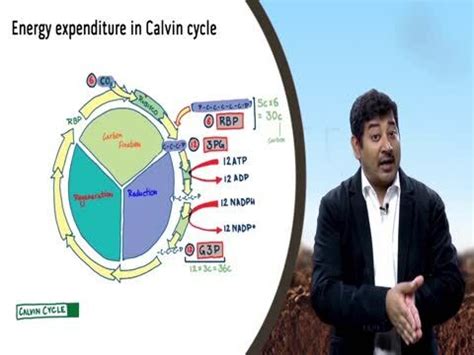 How do desert plants perform photosynthesis?