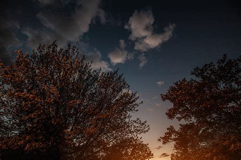 Autumn night sky : r/MostBeautiful