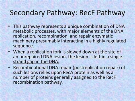 Biology of homologous recombination in bacteria