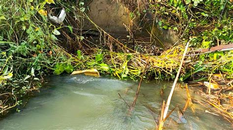 Unclogging Three Culvert Drain Clogged By Plants And Trash After Rain - YouTube