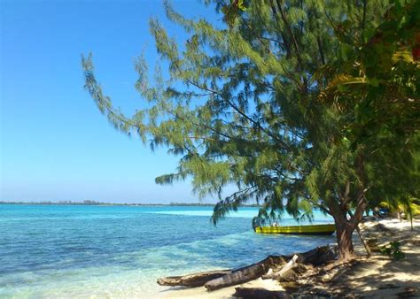 Utila 2023: Best Places to Visit - Tripadvisor