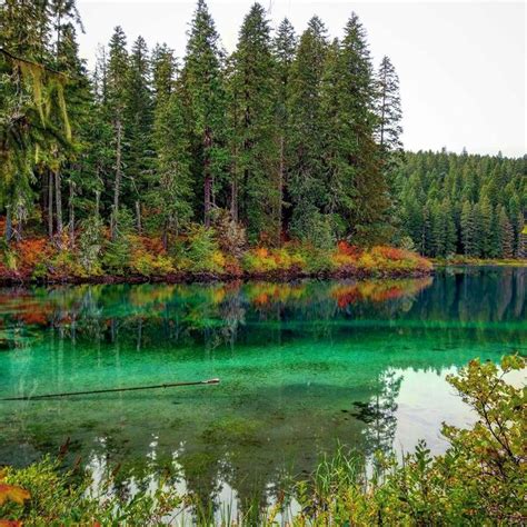 Top Fall Foliage Hikes In Oregon - Hike Oregon | Hiking near portland oregon, Oregon falls ...