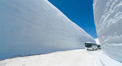 北アルプスの雪解け その2｜写真を見る｜立山黒部アルペンルート