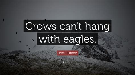 Joel Osteen Quote: “Crows can't hang with eagles.”