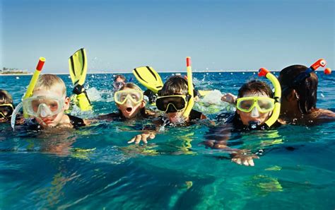 Marine Park Snorkeling Adventure in Cozumel | Pro Dive International