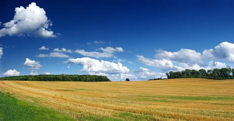 Panorama photo of rice field HD wallpaper | Wallpaper Flare