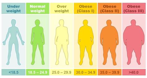 Calculate Your Body Mass Index (BMI)