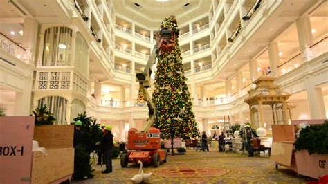 Disney's Grand Floridian Christmas Tree Time Lapse - YouTube