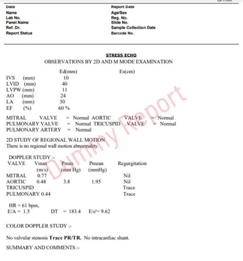 Bank Stress Test 2024 Report Sample - Cora Adeline