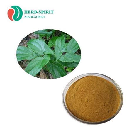 China Epimedium Sagittatum Extract Manufacturers Suppliers Factory ...