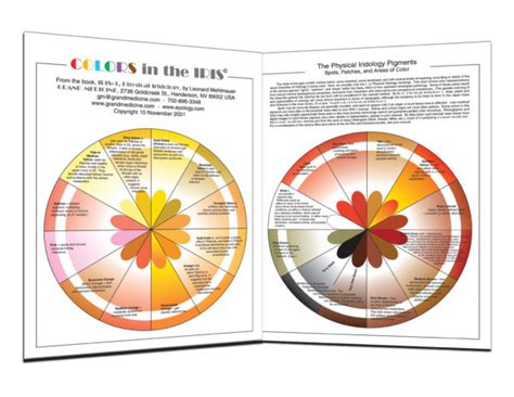 COLORS in the IRIS – Grand Medicine Eyology | Iridology