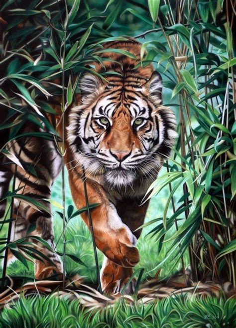 Tiger Painting Acrylic, Diamond Painting, Tiger Wallpaper, Animal Wallpaper, Big Cats Art, Cat ...