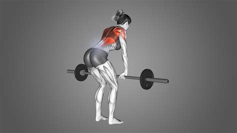 Barbell Row Lower Back Pain: Common Reasons Explained - Inspire US