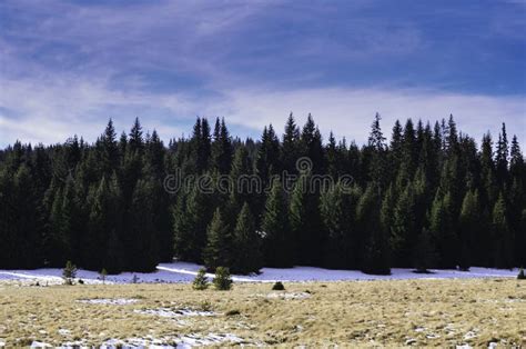 Forest in the Winter, Rhodope Mountains, Bulgaria Stock Photo - Image of mountains, clouds: 97115768