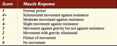 i love physical therapy: The MRC scale for measuring muscle strength