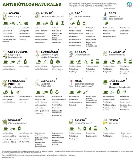 15 Antibióticos Naturales