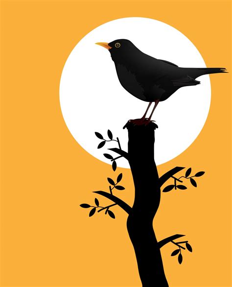 Bird Silhouette On Branch Free Stock Photo - Public Domain Pictures